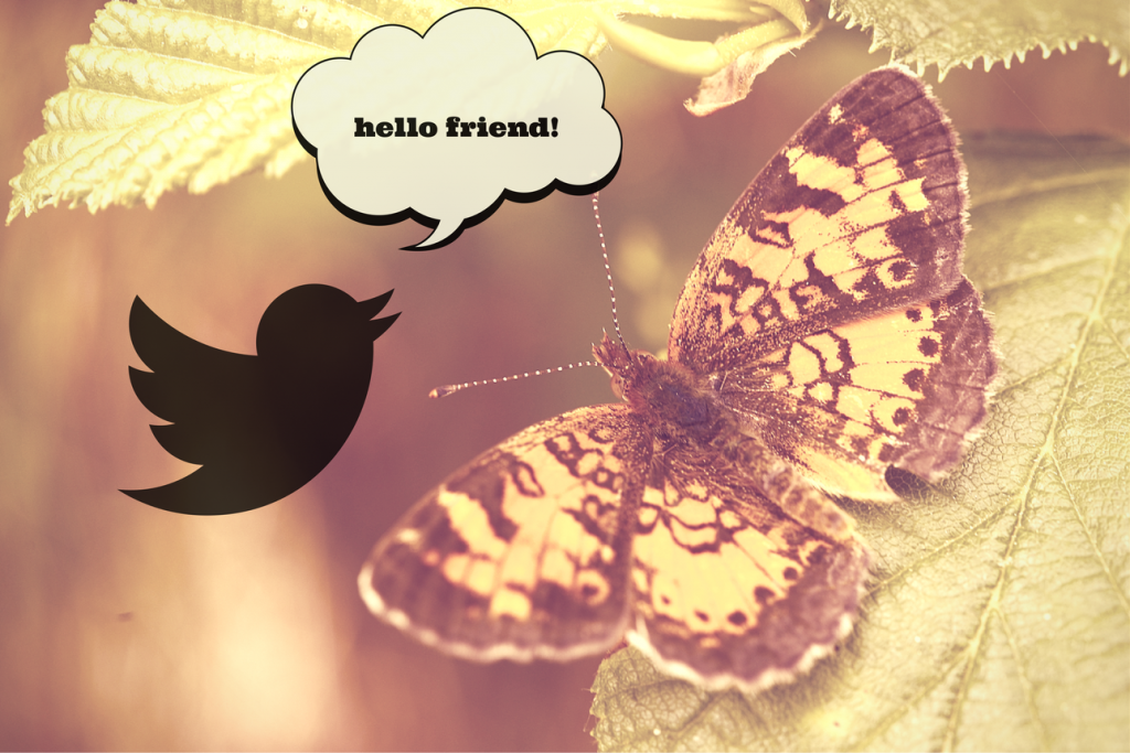 The Socially Awkward Butterfly