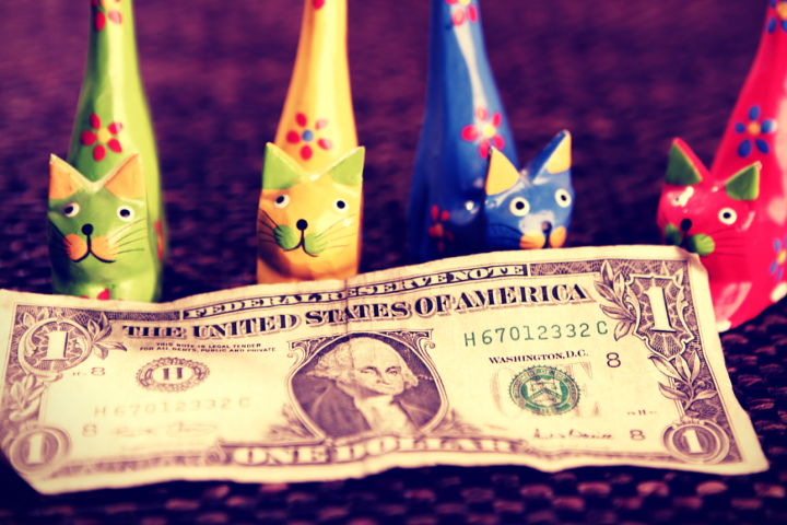 Four single cats and a dollar note - representing Singles Day