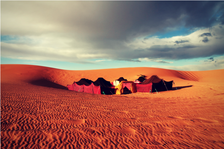 Nomads in the desert