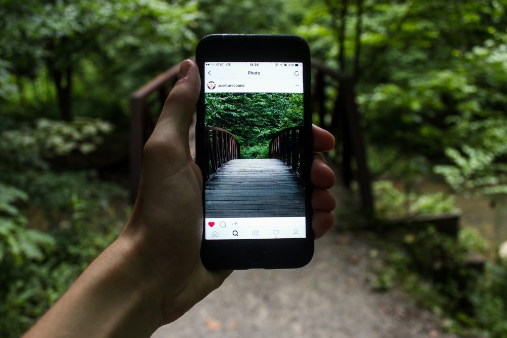 An Instagram photo with a forest background